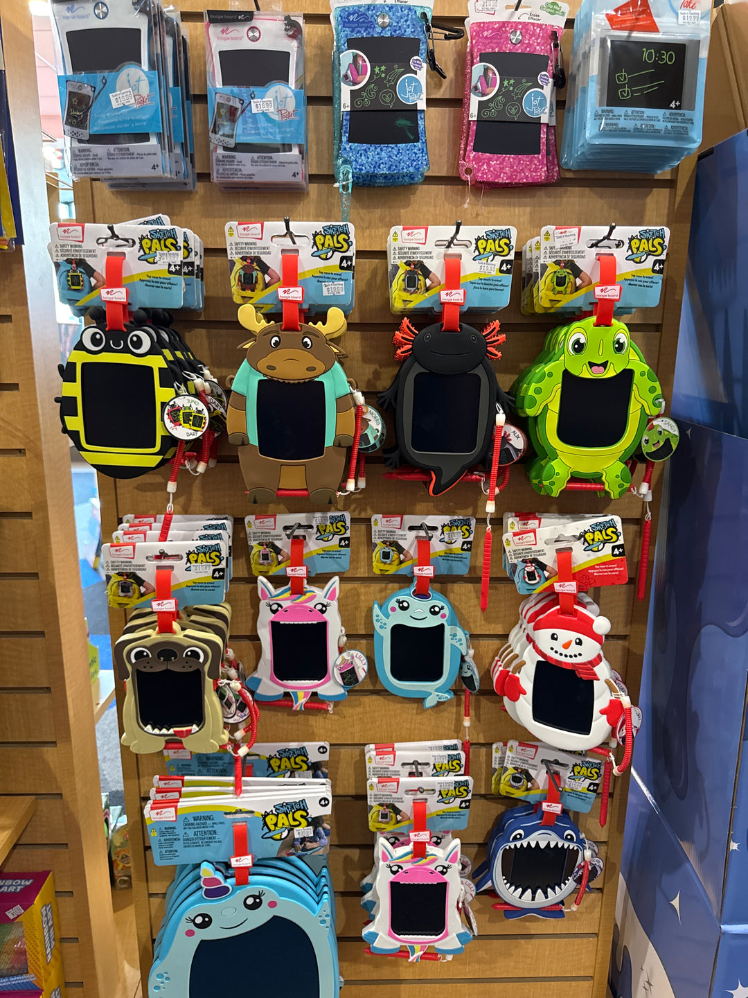 Boogie Boards - Tools 4 Teaching