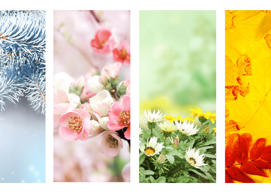 Seasonal - Tools 4 Teaching