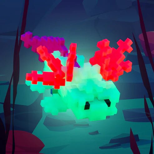 Boxed Axolotl - Tools 4 Teaching