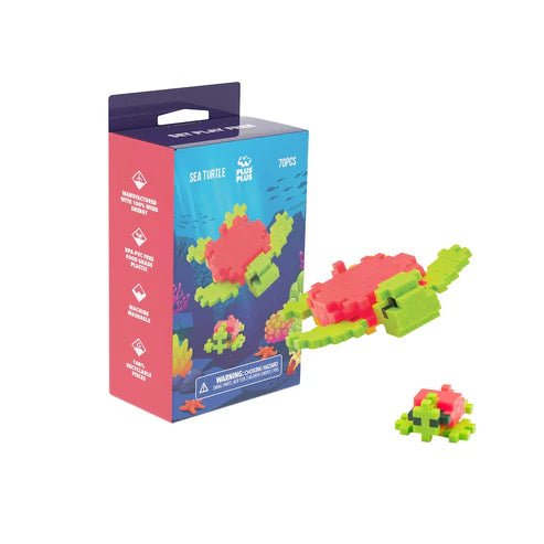 Boxed Sea Turtle - Tools 4 Teaching