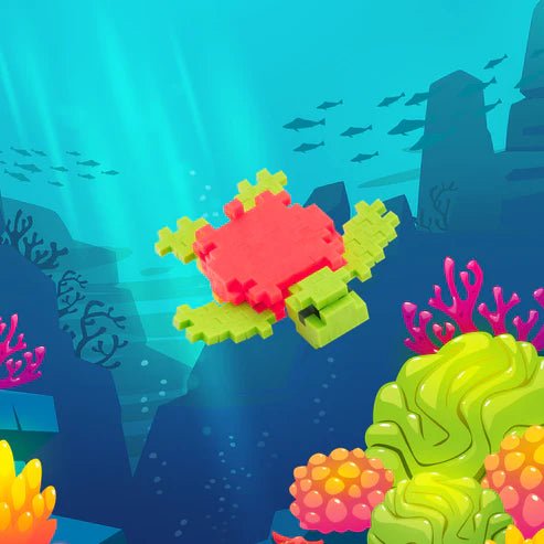 Boxed Sea Turtle - Tools 4 Teaching