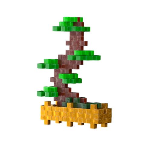 Plant Pack Balanced Bonsai - Tools 4 Teaching