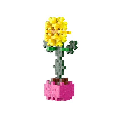Plant Pack Sociable Sunflower - Tools 4 Teaching