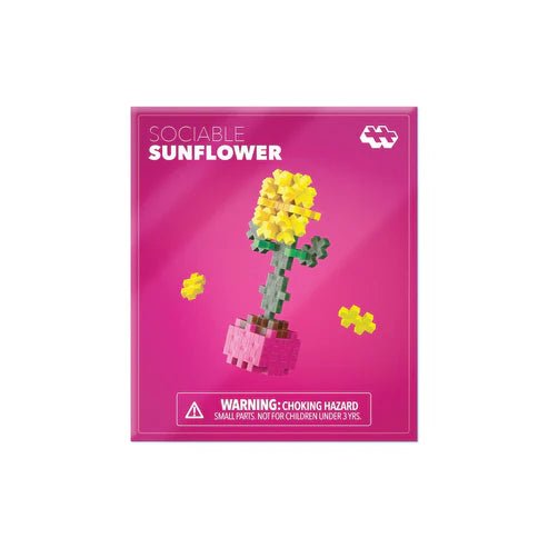 Plant Pack Sociable Sunflower - Tools 4 Teaching