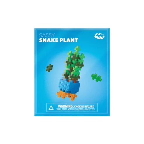 Plant Pack Sassy Snake Plant - Tools 4 Teaching