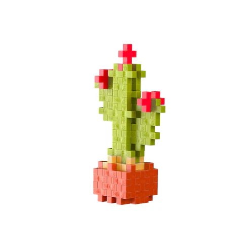 Plant Pack Calm Cactus - Tools 4 Teaching