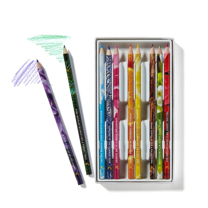 Lifelines® Rub &amp; Sniff™ - Scented Colored Pencils - Classic - Tools 4 Teaching