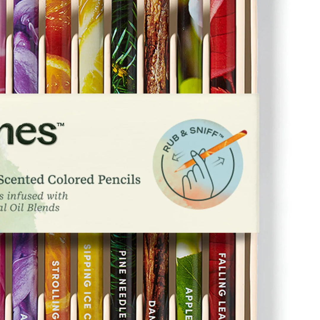 Lifelines® Rub &amp; Sniff™ - Scented Colored Pencils - Classic - Tools 4 Teaching