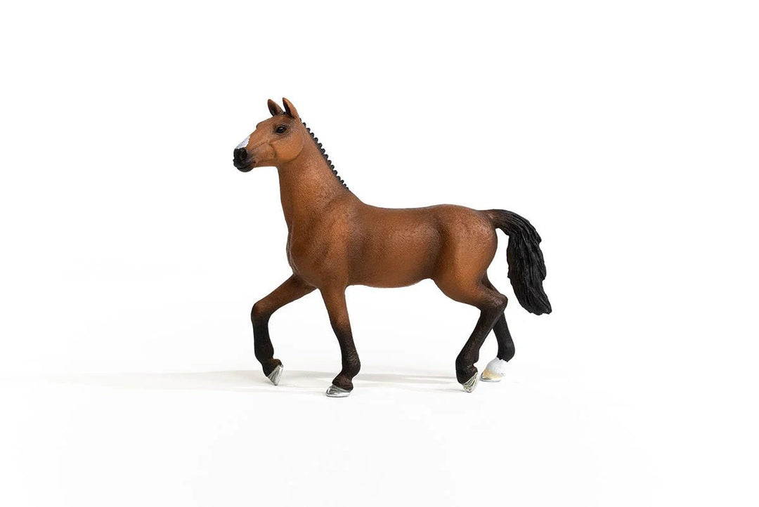 Oldenburg Mare - Tools 4 Teaching