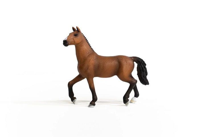 Oldenburg Mare - Tools 4 Teaching