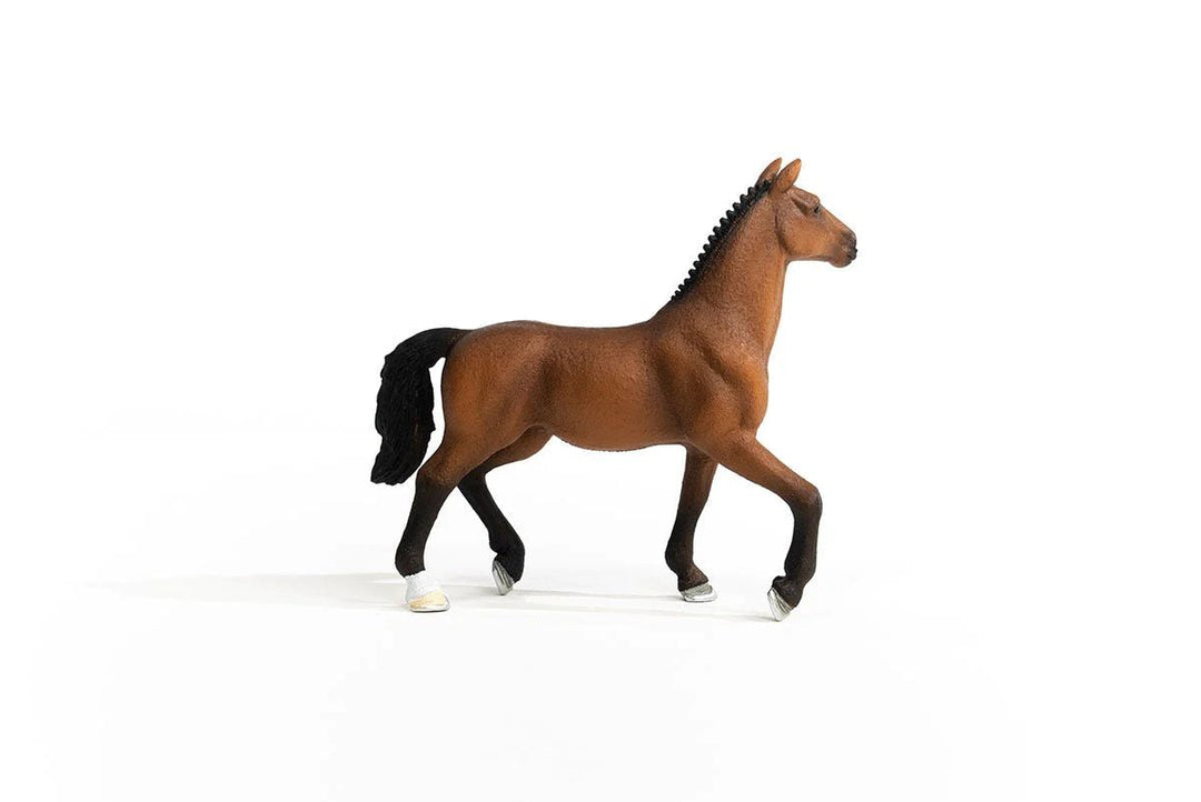 Oldenburg Mare - Tools 4 Teaching