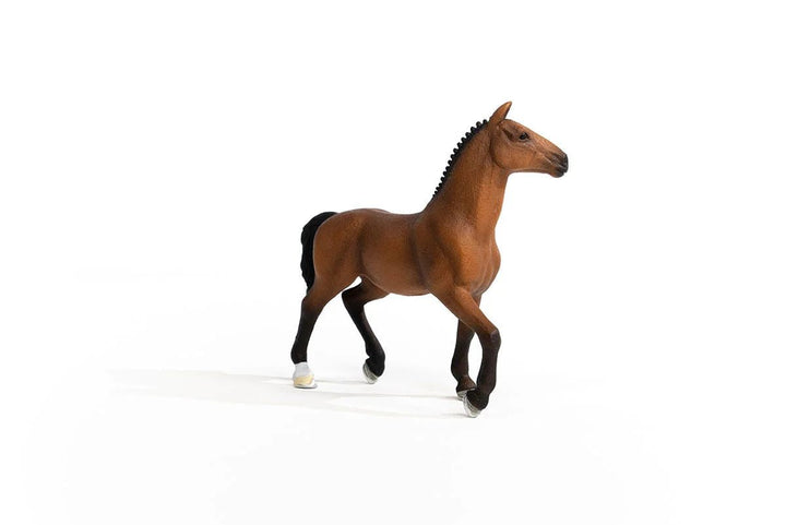 Oldenburg Mare - Tools 4 Teaching