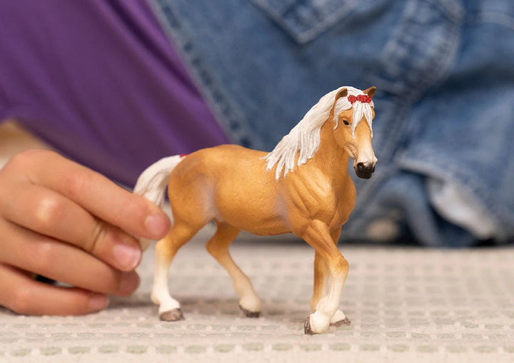Haflinger Mare - Tools 4 Teaching