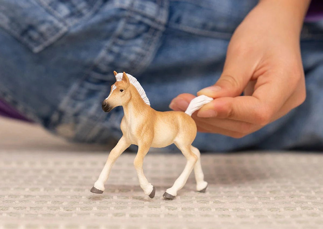 Haflinger Foal - Tools 4 Teaching