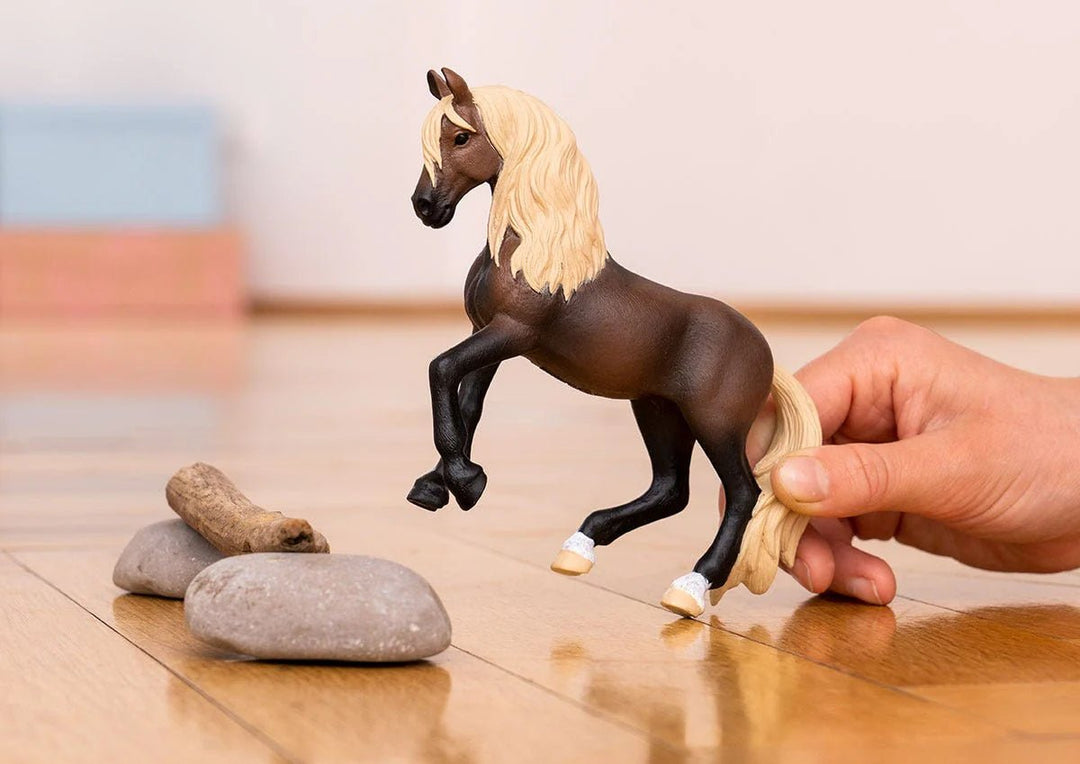 Paso Peruano Stallion - Tools 4 Teaching