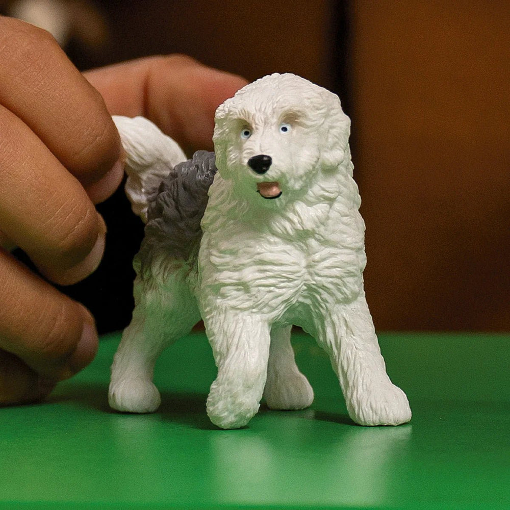 Old English Sheepdog - Tools 4 Teaching