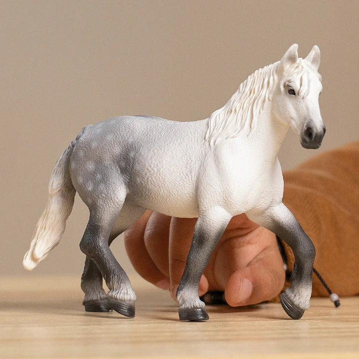 Percheron Mare - Tools 4 Teaching