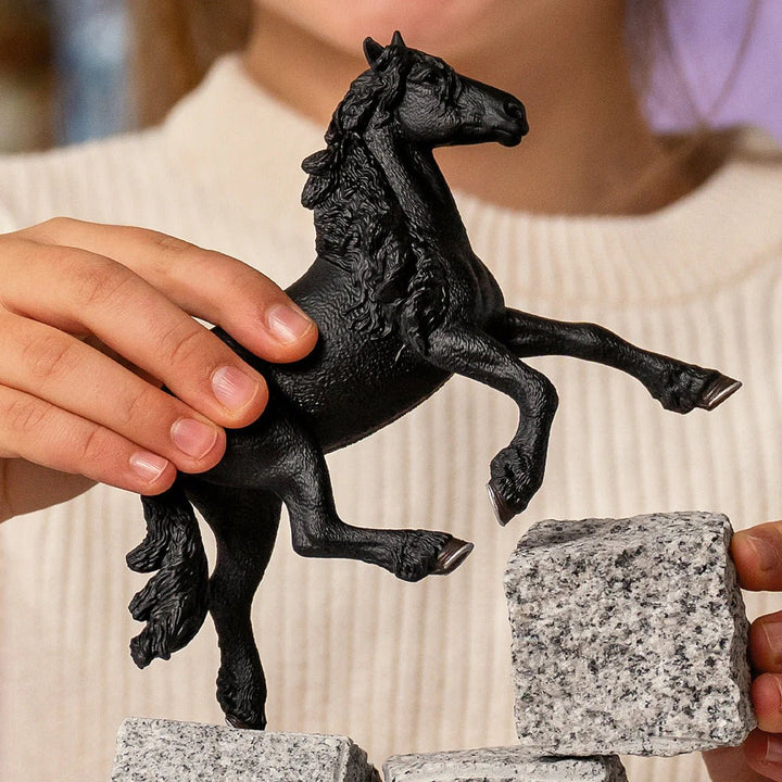 Friesian Stallion - Tools 4 Teaching