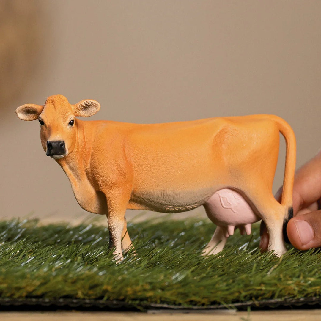 Jersey Cow - Tools 4 Teaching