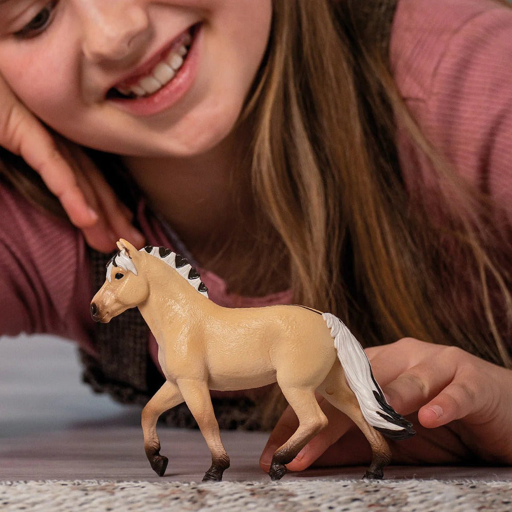Norwegian Fjord Horse Mare - Tools 4 Teaching