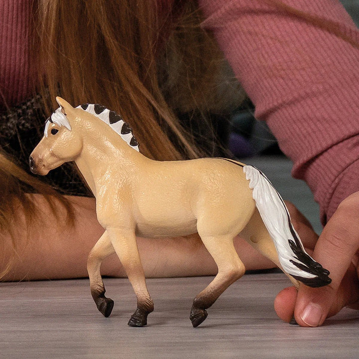 Norwegian Fjord Horse Mare - Tools 4 Teaching