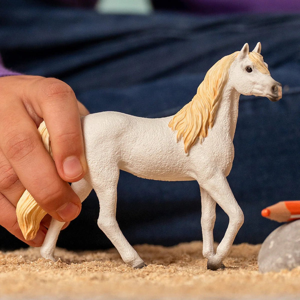Arab Mare - Tools 4 Teaching