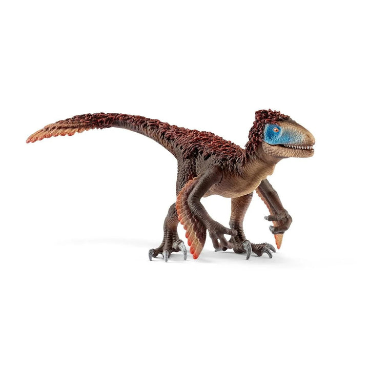 Utahraptor - Tools 4 Teaching