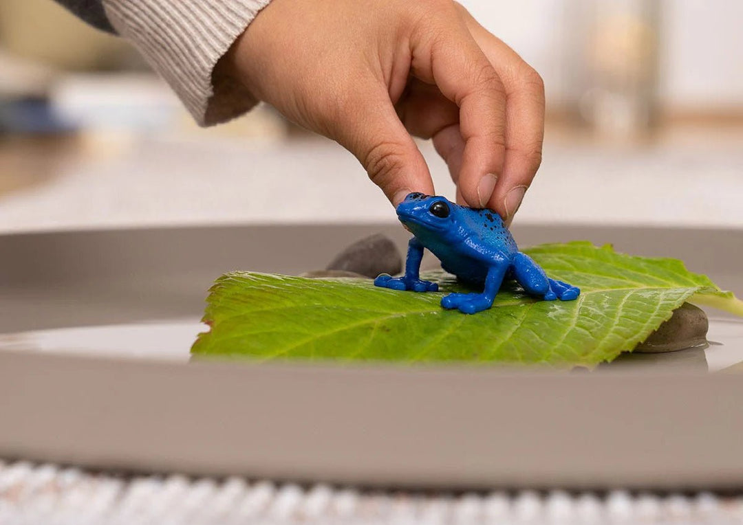 Blue Poison Dart Frog - Tools 4 Teaching