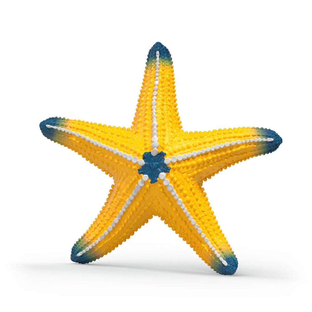 Color Changing Star Fish - Tools 4 Teaching