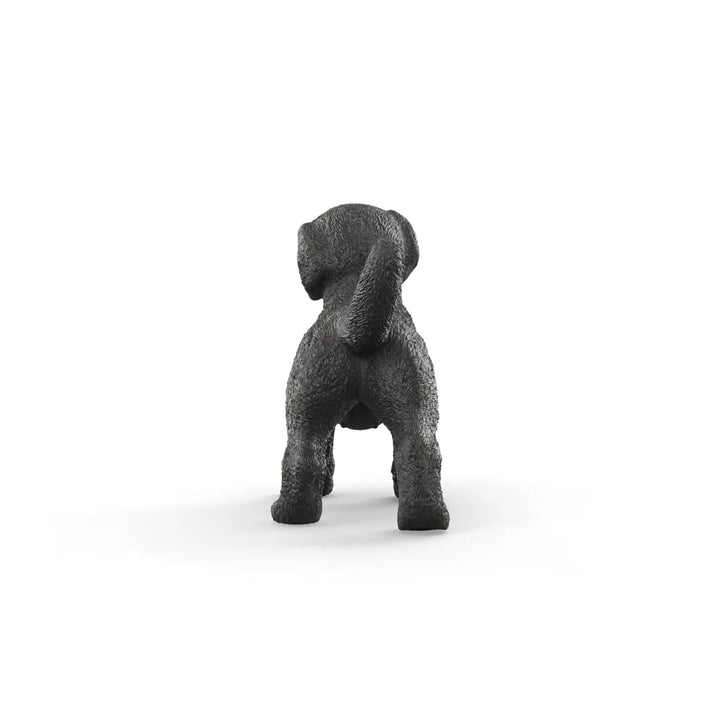 Black Labrador Retriever puppy - Tools 4 Teaching