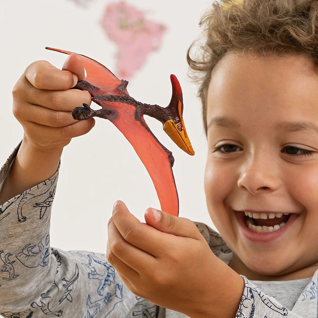 Pteranodon - Tools 4 Teaching