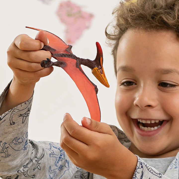 Pteranodon - Tools 4 Teaching
