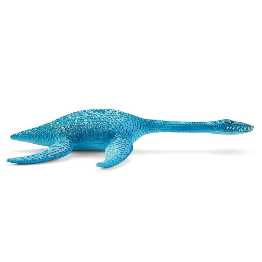Plesiosaurus - Tools 4 Teaching