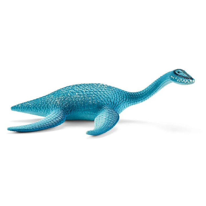 Plesiosaurus - Tools 4 Teaching