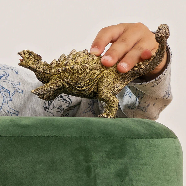 Ankylasaurus - Tools 4 Teaching