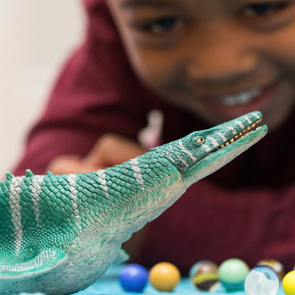 Mosasaurus - Tools 4 Teaching