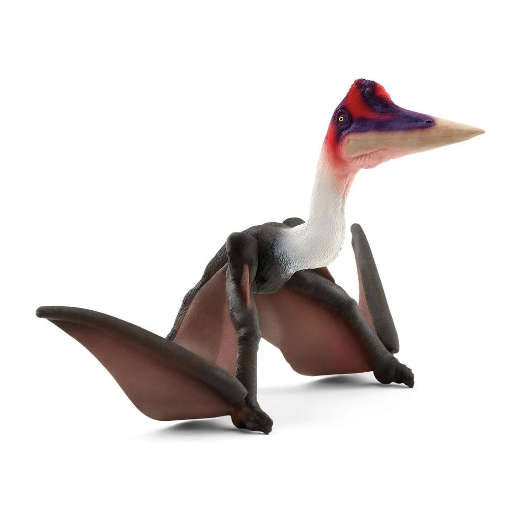 Quetzalcoatius - Tools 4 Teaching