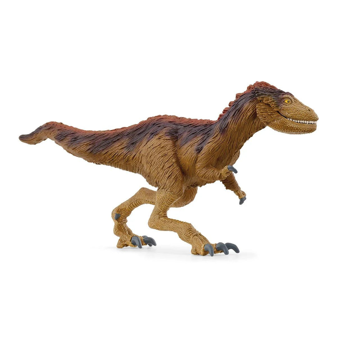 Moros Intrepidus - Tools 4 Teaching