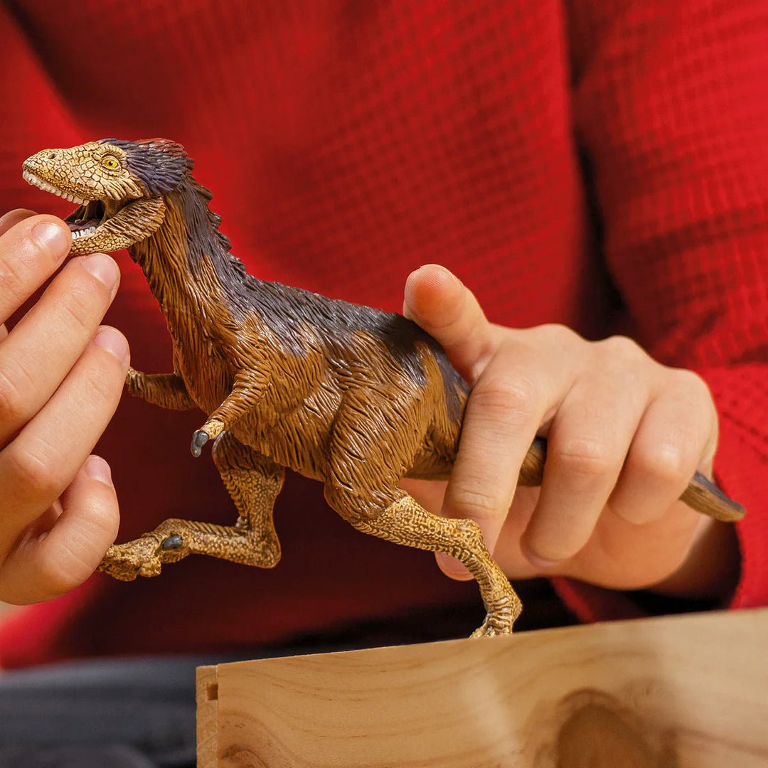 Moros Intrepidus - Tools 4 Teaching