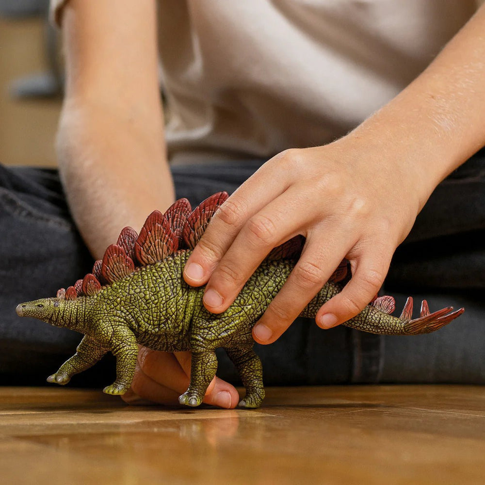 Stegosaurus - Tools 4 Teaching
