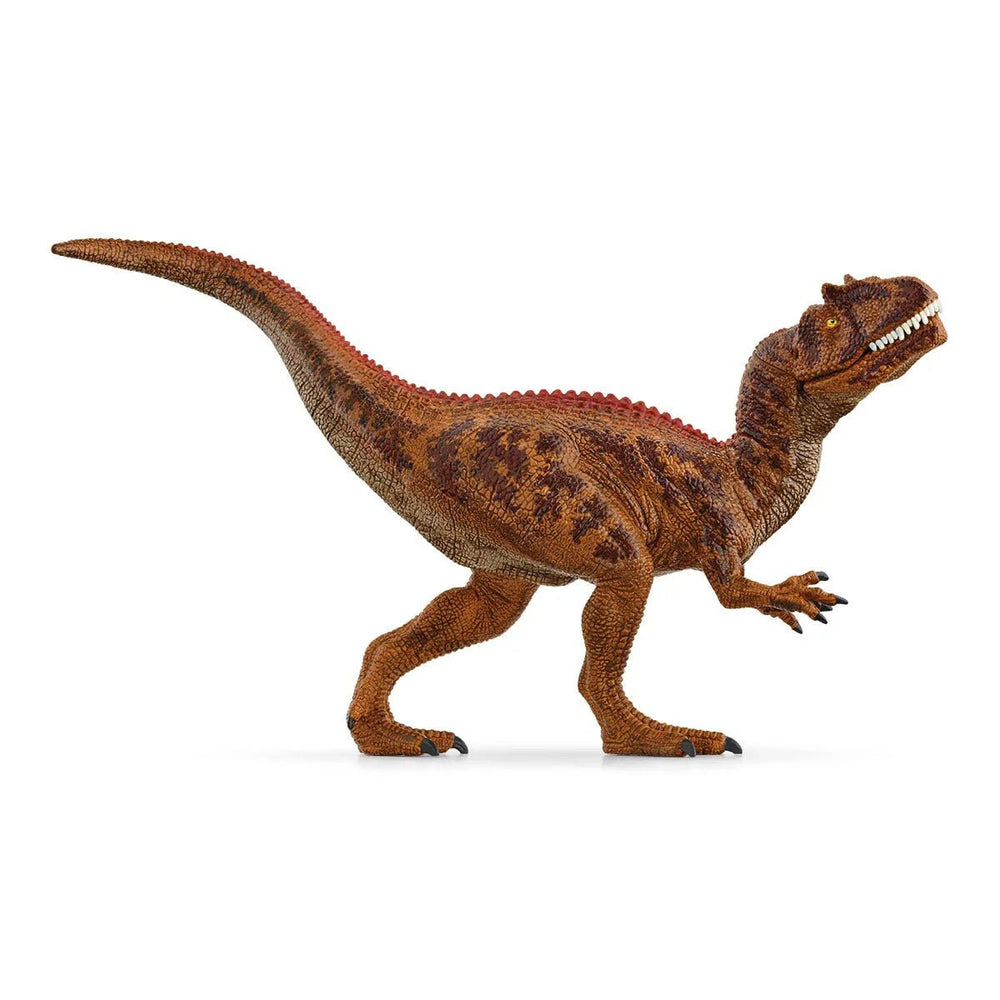 Allosaurus - Tools 4 Teaching