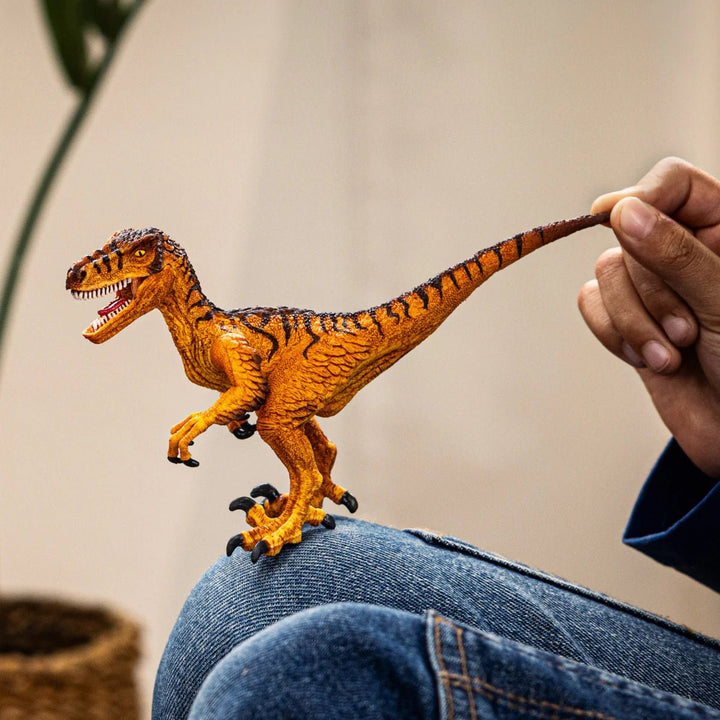 Velociraptor - Tools 4 Teaching