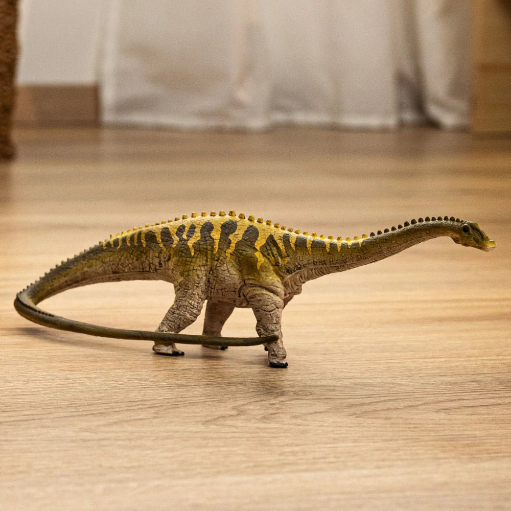 Diplodocus - Tools 4 Teaching