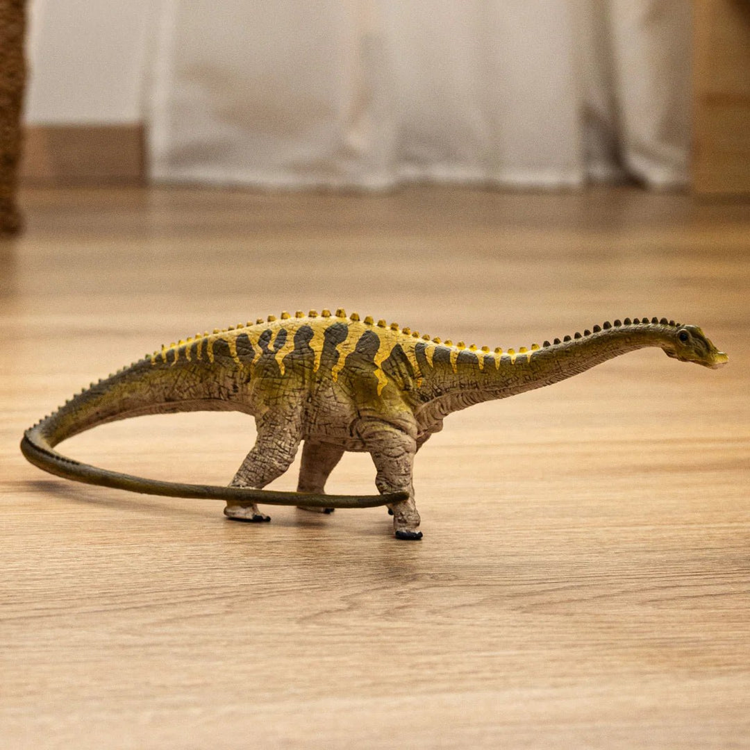 Diplodocus - Tools 4 Teaching