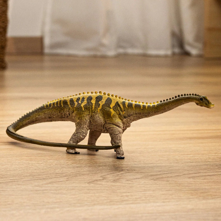 Diplodocus - Tools 4 Teaching