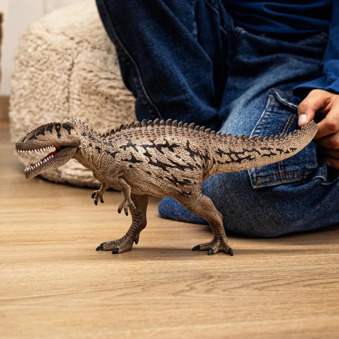 Carcharodontosaurus - Tools 4 Teaching