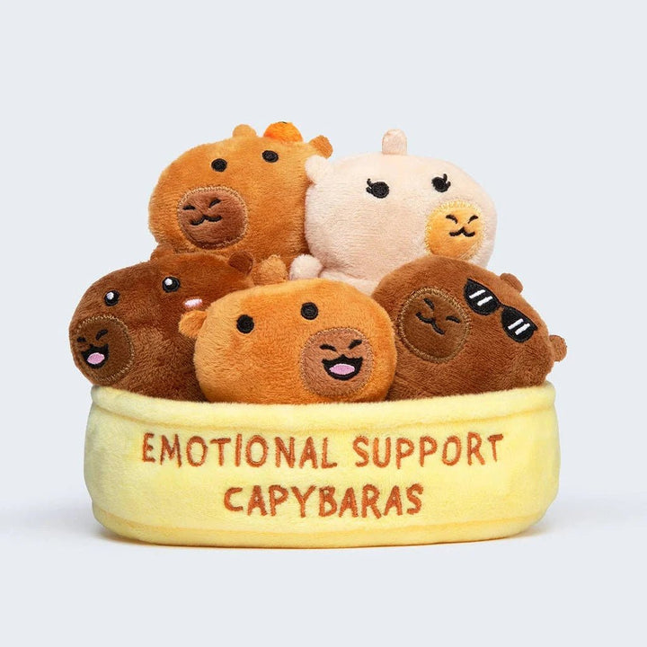 Emotional Support Capybaras - Tools 4 Teaching