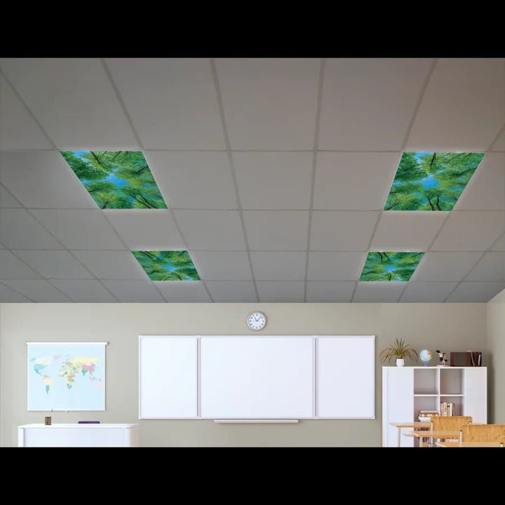 Forest Calming Covers Ceiling Light Filters - Tools 4 Teaching