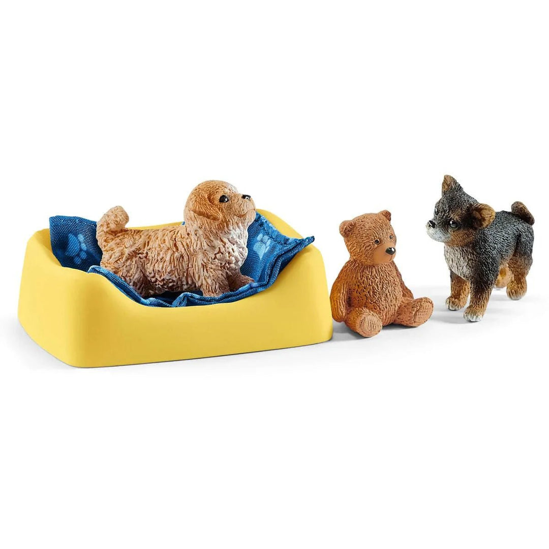 Puppy pen - Tools 4 Teaching