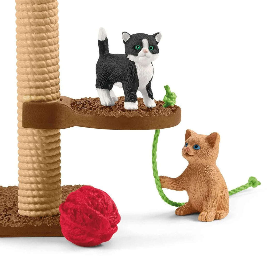 Playtime for Cute Cats - Tools 4 Teaching